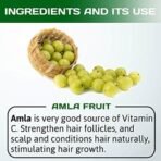 INDUS VALLEY Bio Organic Natural Amla Powder With Herbal Henna Powder Set of 2 For Hair Care - (100g *3=300g) - Fast UK Delivery - Image 6
