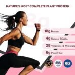 Wellbeing Nutrition Organic Vegan Plant Protein Powder for Women | 4g BCAA & 18g Pea Protein & Brown Rice Protein Isolate for Energy, Growth & Hormonal Balance | Chocolate Peanut Butter - 500gms - Image 3