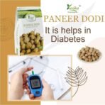 YUVIKA Paneer Dodi Powder - Paneer Doda Powder - Withania Coagulans (100 Grams) - Fast UK Delivery - Image 4