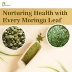 Grenera Moringa Oleifera Tablets 1000mg - Made wit Uncoated Raw Dried Moringa Leaf - Non-GMO Whole Green Super-Food 240 Count (Pack of 1) - Image 6