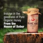 Dabur Raw Organic Honey 500g | 100% Pure and Natural | NPOP Organic Certified | Raw , Unprocessed , Unpasteurized Honey | No Sugar Adulteration - Fast UK Delivery - Image 7