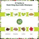 Kesh King Scalp and Hair Medicine Anti-Hairfall Shampoo, 1200 ml - Fast UK Delivery - Image 5