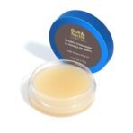 Blue Nectar Shubhr Chocolate & Vanilla Lip Balm & Gloss with Ghee for Dry Chapped Lips | 100% Ayurvedic | Paraben & Sulphate Free (10g, 12 Herbs) - Fast UK Delivery