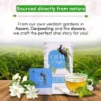 Chai Craft Jasmine Green Tea (50 Teabags) I For Calm Mind and Relaxation | Made with 100% Whole Leaf, Natural Jasmine Flowers & Natural Flavors I Pack of 25X2 boxes - Fast UK Delivery - Image 6