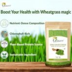 Grenera Wheatgrass Powder, 100% Whole-Leaf Wheat Grass Powder for Detox, Energy & Immunity Support, Green Superfood, 500 grams - Fast UK Delivery - Image 4