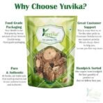 YUVIKA Anantmool Madrasi - Hemidesmus indicus - Indian Sarasaparilla (100 Grams) - Fast UK Delivery - Image 4