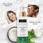 Kapiva Tulsi Anti Hairfall Shampoo | Fights Hard Water Damage & Controls Hair fall | Reduces Hair Breakage - Fast UK Delivery - Image 3