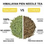 TEACURRY Himalayan Pine Green Tea(1 Month Pack|30 Tea Bags)-Helps With Hair, Skin, Eyes, Varicose & Obesity|Himalayan Pine Needle Tea,100 Grams - Fast UK Delivery - Image 4