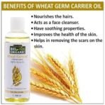 INDUS VALLEY BIO ORGANIC Cold Pressed Wheat germs Carrier Oil - 100% Pure and Natural- Suitable for All Skin Types Pure Oil, Use for Hair Care, Skin Care (100ml) - Fast UK Delivery - Image 7