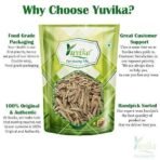 YUVIKA Indrajau Kadwa - Inderjoo Kadwa - Holarrhena Pubescens (100 Grams) - Fast UK Delivery - Image 4