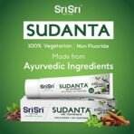 Sri Sri TATTVA shuddhta ka naam Sudanta Herbal Gel Toothpaste - All Natural, SLS Free, Fluoride Free Tooth Paste with Charcoal, Salt & More - 100g (Pack of 2), for Kids and Adults - Fast UK Delivery - Image 4