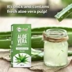 Nutriorg Organic Aloe Vera Juice with Pulp 500ml | Cold-Pressed Pure Aloe Vera | Supports Hair, Skin, Detox, Weight Loss & Immunity | No Added Sugar | Ayurvedic Juice for Liver & Digestive Health - Fast UK Delivery - Image 5