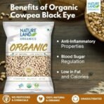 Natureland Organics Cowpea Black Eye / Lobia 500 Gm - Organic Healthy Pulses - Fast UK Delivery - Image 3