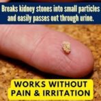 Healthally Ayurvedic Uriactive Kidney Health,Renal Care Syrup|Kidney Detox|Stone/Pathari Remover|Varunchaal Gokhru Punarva Patharchur Syrup For Kidney Wellness - 500 ML - Fast UK Delivery - Image 4