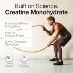 Wellbeing Nutrition 100% Pure Micronised Creatine Powder Monohydrate Unflavoured |100g, 33 servings | Tested for Purity | For Muscle Strength & Recovery, Muscle Growth & Cognition | For Men & Women - Image 5