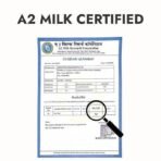 Kapiva Cetrified A2 Gir Cow Ghee 500ML | Traditional Vedic Bilona Method | Grassfed, Pure & Healthy | Curd-Churned | Premium Glass Bottle | 100% Natural & Lab-Tested | Rich in Nutrition - Fast UK Delivery - Image 4