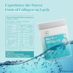 Wellbeing Nutrition Pure Korean Marine Collagen Supplements for Women & Men, 200g | Hydrolyzed Collagen Powder and Amino Acids | Supports Healthy Skin, Hair, Nails, Bone & Joint | Unflavored - Image 7