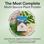 Wellbeing Nutrition Organic Vegan Plant Protein Isolate Powder | 22g Protein, 5g BCAA - Image 4