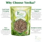 YUVIKA Kasni Seeds - Cichorium Intybus - Endive - Chicory 200 Grams - Fast UK Delivery - Image 4