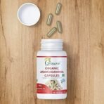 Grenera Ashwagandha Capsules - 90 Vegetarian Capsules - 500 mg per Capsule - Fast UK Delivery - Image 5