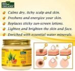 INDUS VALLEY Bio Organic Sun Guard Aloe Vera Gel With Lemon & Orange For Ultimate Refreshing Feel (175 * 2=350ml) - Fast UK Delivery - Image 5