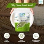 Natureland Organics Fennel (Saunf) 100 gm - Organic Saunf - Fast UK Delivery - Image 2