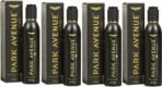 PARK AVENUE 4 X Regal deo Deodorant Spray - For Men (120 ml, Pack of 4) - Fast UK Delivery