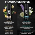Beardo Mariner & Don Perfume Body Spray 150ml Each Combo | Long Lasting | Deo For Men | Deodorant for Men | Fresh, Aqua Notes | Christmas gift for men | Gift For Friends | Gift for Men - Fast UK Delivery - Image 4