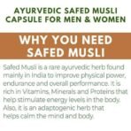 Healthally Ayurvedic Safed Musli Capsule 500mg | Stamina Energy Vitality Booster Capsule for Men Women Supplement | Relief Tiredness & Fatigue | AYUSH Approved - 60 Capsules - Fast UK Delivery - Image 3