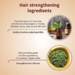 Ayouthveda Anti-hairfall Shampoo 200ml & Protein Hair Oil 100ml Combo Pack for Healthy Hair Growth & Deep Nourishment | Fights Dandruff Control Hair Breakage & Hair Fall | Blend of Essential Oil & Herbal Extracts - Fast UK Delivery - Image 6