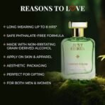 Just Herbs Energising Forest Wood Eau Da Parfum for Men and Women 50 ml | Long Lasting Body Spray Unisex Perfume - Fast UK Delivery - Image 4