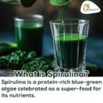 Grenera Spirulina Powder, Rich in Protein, Vitamins, Minerals, Gluten Free, Vegan, Non GMO, 100 grams - Fast UK Delivery - Image 3