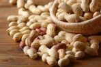 Organic Bites Groundnut With Shell, Raw Peanut, Sabut Mungfali (Without Roasted) -1800 gm - Fast UK Delivery - Image 2