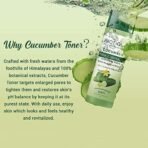 Biotique Cucumber Pore Tightening Toner| Ayurvedic and Organically Pure| Maintains Skin?s Natural pH |100% Botanical Extracts| Suitable for Normal & Oily Skin Types| 120mL (Pack of 2) - Fast UK Delivery - Image 7