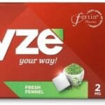 RYZE Nicotine Gums | Fresh Fennel | 2mg | Helps in Quitting Smoking and Chewing Tobacco | Soft Chew | 3 Gums each x Pack of 30