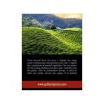 Golden Tips Summer Serenade Second Flush Darjeeling Black Tea (8.81oz - 250 gm - 125 Cups) - Fast UK Delivery - Image 5