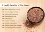 OrganoNutri Roasted Flax Seeds | Lightly Salted Alsi for Eating | Premium Roast (2kg) - Fast UK Delivery - Image 5