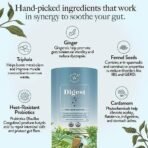 Wellbeing Nutrition Digest Green Tea | Digestive Tea with Probiotics, Digestive Enzymes, 8 Billion CFU & Fennel Seeds for better Digestion, Bloating, Gas and Acidity relief (40 Pyramid Tea Bags) - Image 3