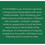 Biotique Cucumber Pore Tightening Toner| Ayurvedic And Organically Pure| Maintains Skin'S Natural Ph |100% Botanical Extracts| Suitable For Normal & Oily Skin Types| 120Ml, Pack of 1 - Fast UK Delivery - Image 6
