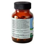 ORGANIC INDIA Kalmegh 60 Veg Capsules (Pack of 1) - Image 3