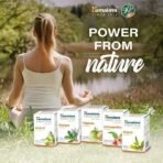 Himalaya Wellness Pure Herbs Amalaki Immunity Wellness |Promotes health | -Pack of 60 Tablets - Image 5