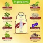 Sri Sri TATTVA shuddhta ka naam Shakti Drops - Ayurvedic Immunity Booster for Adults & Kids - Natural Drops for Strength & Stamina - Relief from Cough, Cold & Sore Throat - 10ml (Pack of 1) - Fast UK Delivery - Image 5