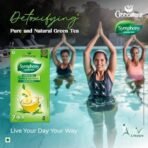 Goodricke Symphony Green Tea Pure & Natural, 25 Tea Bags (Pack of 2) | Detoxification & Boost Immunity | Increases Metabolism - Fast UK Delivery - Image 3