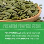 R R AGRO FOODS Pumpkin Seeds 100 Gm Rich In Protein And Fiber Superfood-Grade Aaa-Pumpkin Seeds For Eating-Healthy Snacks For Weight Loss Pack Of 1 - Fast UK Delivery - Image 3
