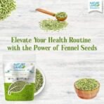 Natureland Organics Fennel (Saunf) 100 gm - Organic Saunf - Fast UK Delivery - Image 3