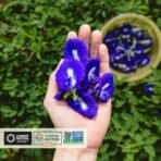 VAHDAM, Butterfly Pea Flower (50 Gm, 150+ Cups) Caffeine Free Herbal Tea|Vacuum Sealed For Freshness|Shankhpushpi Flowers|Eco-Conscious Packaging - Fast UK Delivery - Image 6