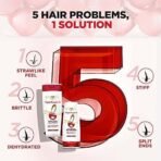 L'Oreal Paris Total Repair 5 Repairing Shampoo with Keratin XS, 192.5ml & L'Oreal Paris Dream Lengths Conditioner, 192.5 ml - Fast UK Delivery - Image 5