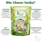 YUVIKA Senna Leaves - Sanay Leaves Spl. - Cassia Angustifolia - Senna Alexandrina (200 Grams) - Fast UK Delivery - Image 4
