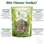 YUVIKA Gulbanafsha Spl - Gul Banpsa - Viola Odorata - Sweet Violet (100 Grams) - Fast UK Delivery - Image 4