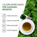 Kapiva Dia Foods Green Tea for Blood Sugar Care | Jamun, Gudmar, Methi, & 10 More - Fast UK Delivery - Image 7